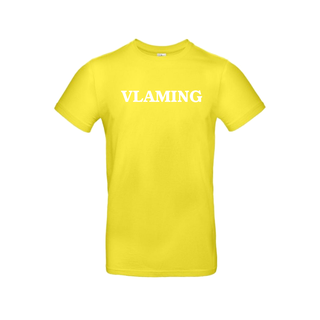 T-shirt Vlaming 2 + rugbedrukking MAN